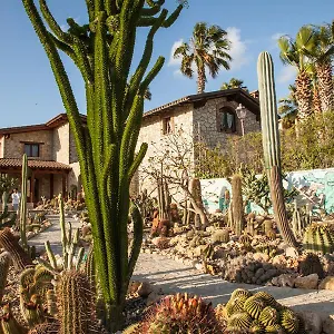 Garden Cactus Landhuis Villaggio Mosè